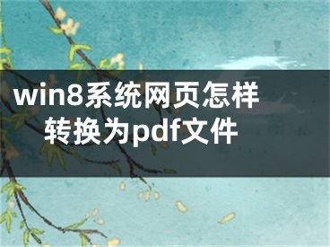 win8系統(tǒng)網(wǎng)頁怎樣轉(zhuǎn)換為pdf文件