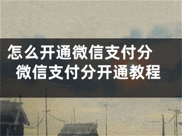 怎么開通微信支付分 微信支付分開通教程