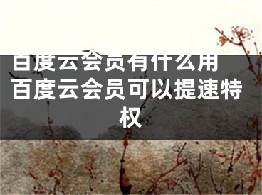 百度云會員有什么用 百度云會員可以提速特權(quán)