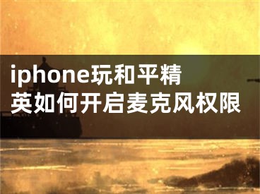 iphone玩和平精英如何開(kāi)啟麥克風(fēng)權(quán)限