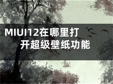 MIUI12在哪里打開超級壁紙功能