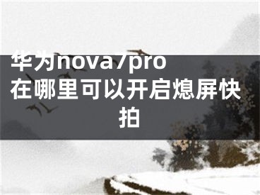 華為nova7pro在哪里可以開啟熄屏快拍