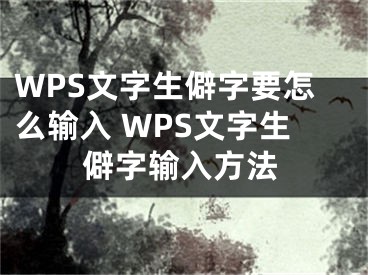 WPS文字生僻字要怎么輸入 WPS文字生僻字輸入方法