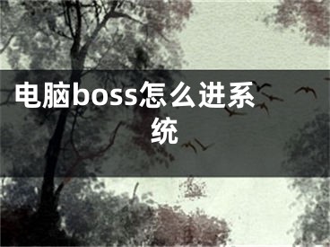 電腦boss怎么進(jìn)系統(tǒng)