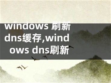 windows 刷新dns緩存,windows dns刷新