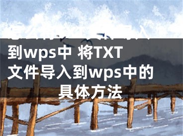 怎么將TXT文件導入到wps中 將TXT文件導入到wps中的具體方法