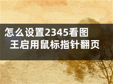 怎么設(shè)置2345看圖王啟用鼠標(biāo)指針翻頁