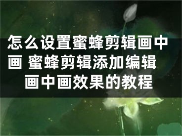 怎么設(shè)置蜜蜂剪輯畫中畫 蜜蜂剪輯添加編輯畫中畫效果的教程