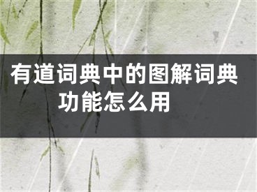 有道詞典中的圖解詞典功能怎么用 