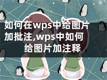 如何在wps中給圖片加批注,wps中如何給圖片加注釋