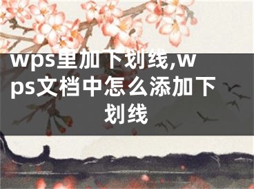 wps里加下劃線,wps文檔中怎么添加下劃線