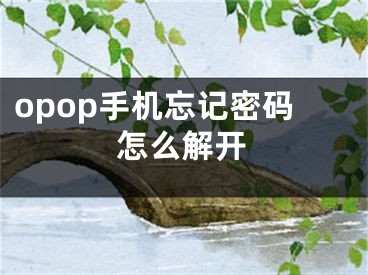 opop手機忘記密碼怎么解開