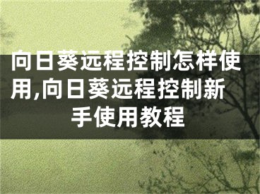 向日葵遠程控制怎樣使用,向日葵遠程控制新手使用教程