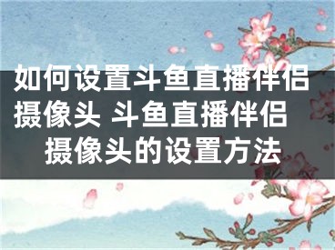 如何設(shè)置斗魚直播伴侶攝像頭 斗魚直播伴侶攝像頭的設(shè)置方法