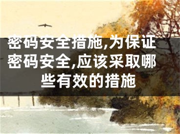 密碼安全措施,為保證密碼安全,應該采取哪些有效的措施