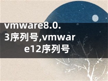 vmware8.0.3序列號,vmware12序列號