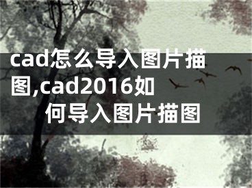 cad怎么導(dǎo)入圖片描圖,cad2016如何導(dǎo)入圖片描圖