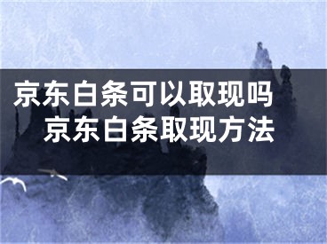 京東白條可以取現(xiàn)嗎 京東白條取現(xiàn)方法