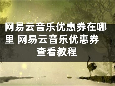 網(wǎng)易云音樂優(yōu)惠券在哪里 網(wǎng)易云音樂優(yōu)惠券查看教程