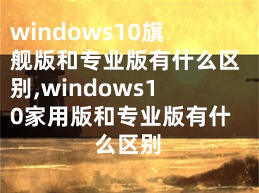 windows10旗艦版和專業(yè)版有什么區(qū)別,windows10家用版和專業(yè)版有什么區(qū)別