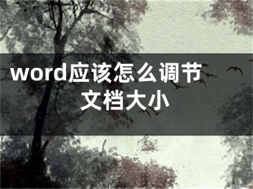 word應(yīng)該怎么調(diào)節(jié)文檔大小