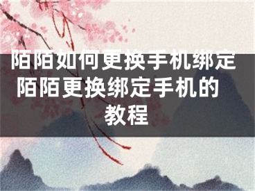 陌陌如何更換手機綁定 陌陌更換綁定手機的教程