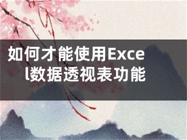 如何才能使用Excel數(shù)據(jù)透視表功能