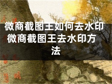 微商截圖王如何去水印 微商截圖王去水印方法