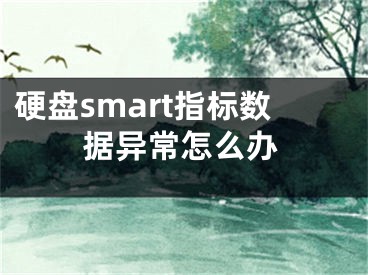 硬盤smart指標(biāo)數(shù)據(jù)異常怎么辦