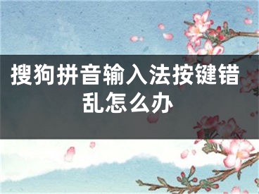 搜狗拼音輸入法按鍵錯(cuò)亂怎么辦