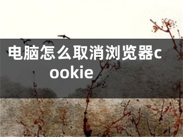 電腦怎么取消瀏覽器cookie