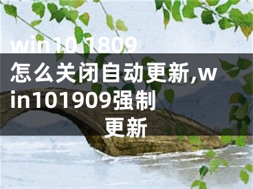 win10 1809怎么關(guān)閉自動(dòng)更新,win101909強(qiáng)制更新