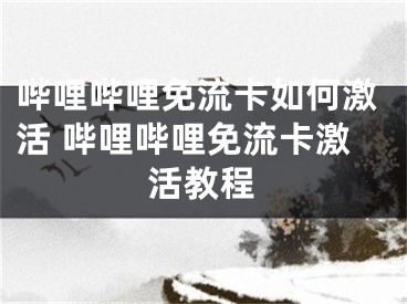 嗶哩嗶哩免流卡如何激活 嗶哩嗶哩免流卡激活教程