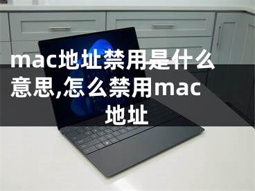 mac地址禁用是什么意思,怎么禁用mac地址