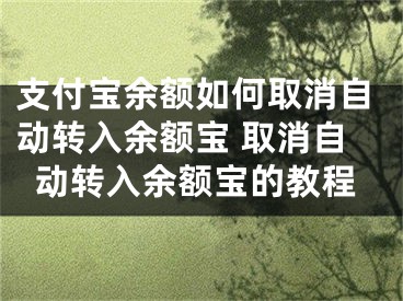 支付寶余額如何取消自動(dòng)轉(zhuǎn)入余額寶 取消自動(dòng)轉(zhuǎn)入余額寶的教程