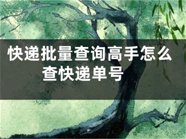 快遞批量查詢高手怎么查快遞單號(hào) 