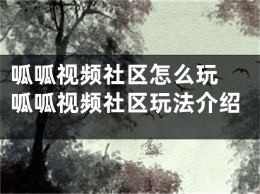 呱呱視頻社區(qū)怎么玩 呱呱視頻社區(qū)玩法介紹