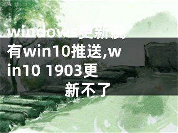 windows更新沒有win10推送,win10 1903更新不了