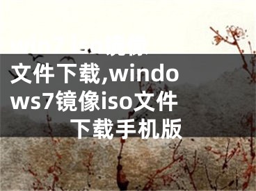 win7 iso鏡像文件下載,windows7鏡像iso文件下載手機版