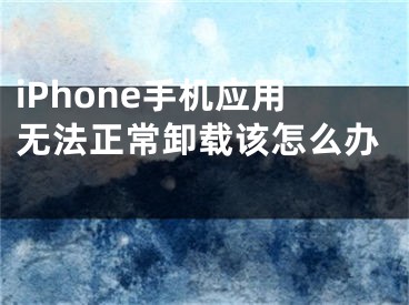 iPhone手機應(yīng)用無法正常卸載該怎么辦 