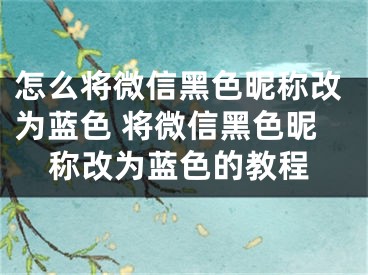 怎么將微信黑色昵稱改為藍(lán)色 將微信黑色昵稱改為藍(lán)色的教程