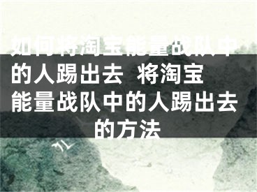 如何將淘寶能量戰(zhàn)隊中的人踢出去  將淘寶能量戰(zhàn)隊中的人踢出去的方法