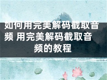 如何用完美解碼截取音頻 用完美解碼截取音頻的教程