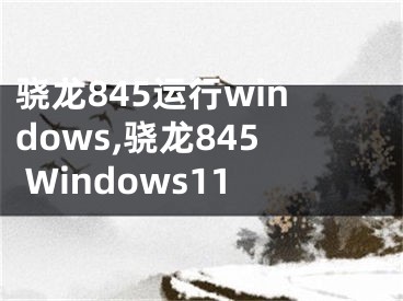 驍龍845運(yùn)行windows,驍龍845 Windows11