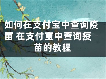 如何在支付寶中查詢疫苗 在支付寶中查詢疫苗的教程