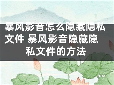 暴風(fēng)影音怎么隱藏隱私文件 暴風(fēng)影音隱藏隱私文件的方法