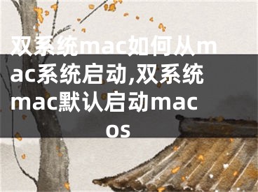 雙系統(tǒng)mac如何從mac系統(tǒng)啟動,雙系統(tǒng)mac默認啟動macos