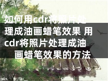 如何用cdr將照片處理成油畫蠟筆效果 用cdr將照片處理成油畫蠟筆效果的方法