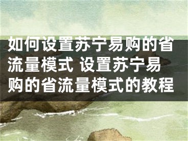 如何設(shè)置蘇寧易購的省流量模式 設(shè)置蘇寧易購的省流量模式的教程