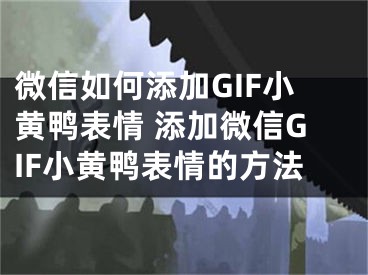 微信如何添加GIF小黃鴨表情 添加微信GIF小黃鴨表情的方法